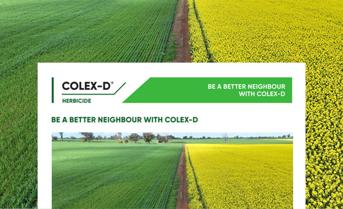 Colex-D Volatility Technote